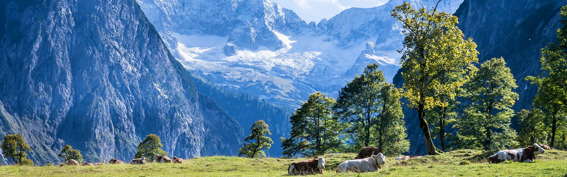 Bavarian-Alps-Landscape